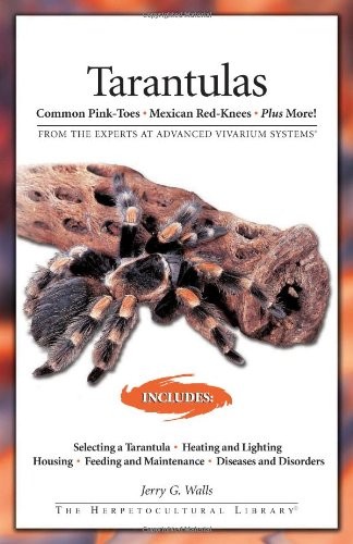 Tarantulas advanced vivarium - tarantulas,