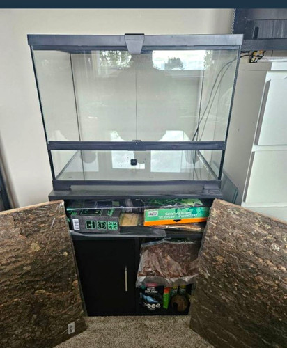 Vivarium paludarium tank - vivarium,