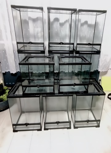Terrarium vivarium glass - vivarium,