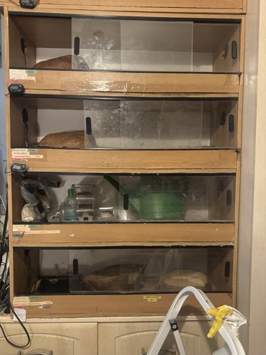 Stack 3ft vivariums - stack,