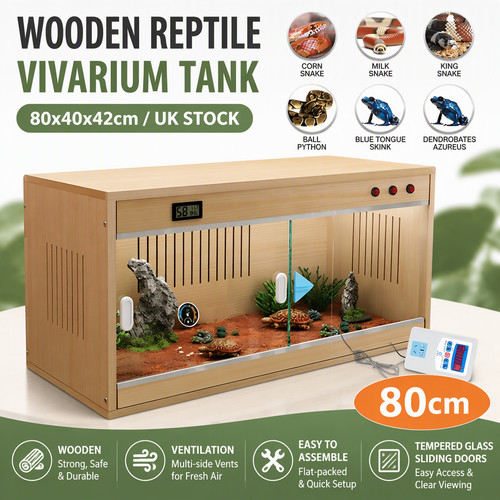 Reptile enclosure terrarium - reptile,