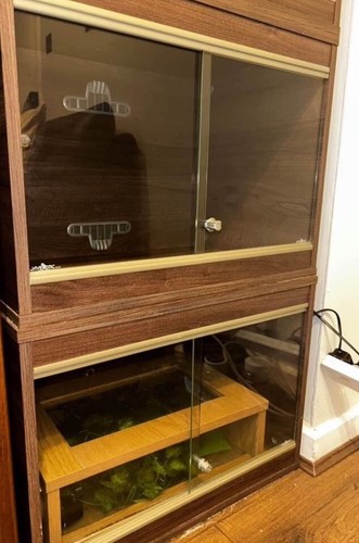 Small vivexotic vivarium - , 4